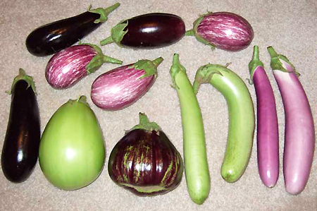 http://cocagne.ch/cms/images/stories/legumes/aubergines1.jpg