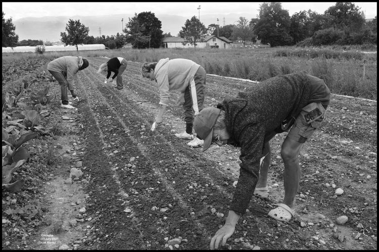 Cocagne 17 July 2020 PSRS ©M.Merne_DSF5756r.jpg