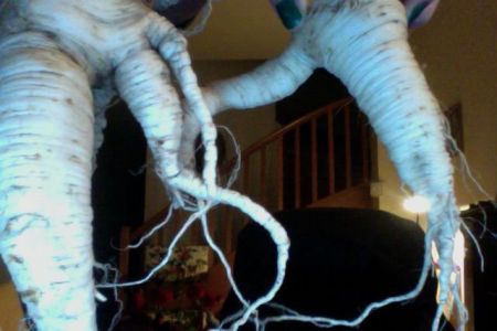 Après Godzilla, Persil_racine_zilla!