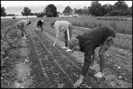 Cocagne 17 July 2020 PSRS ©M.Merne_DSF5756r.jpg