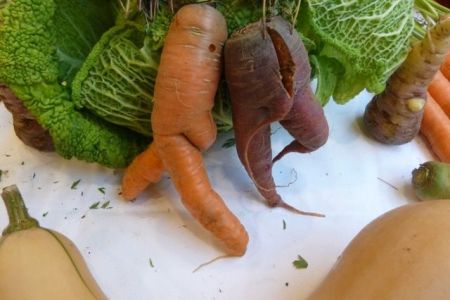 Conversation potagère