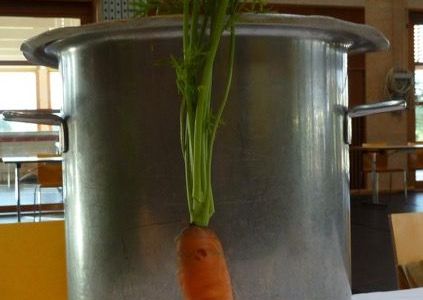 Ballade de carotte